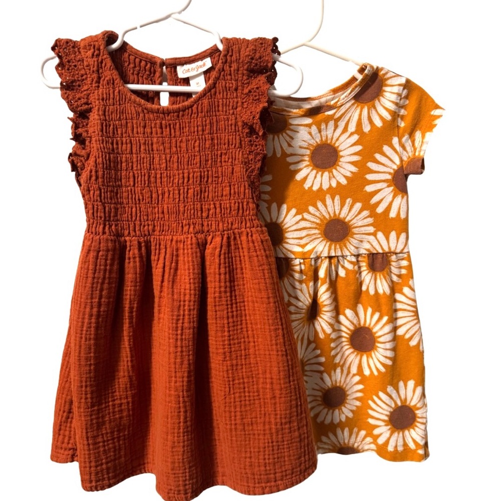 Girls Rust and Daisy Print Dresses